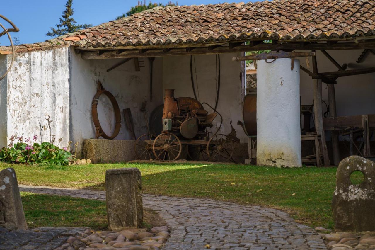 Hotel Quinta De Santa Barbara By Heavens Sleepy Constância Zewnętrze zdjęcie