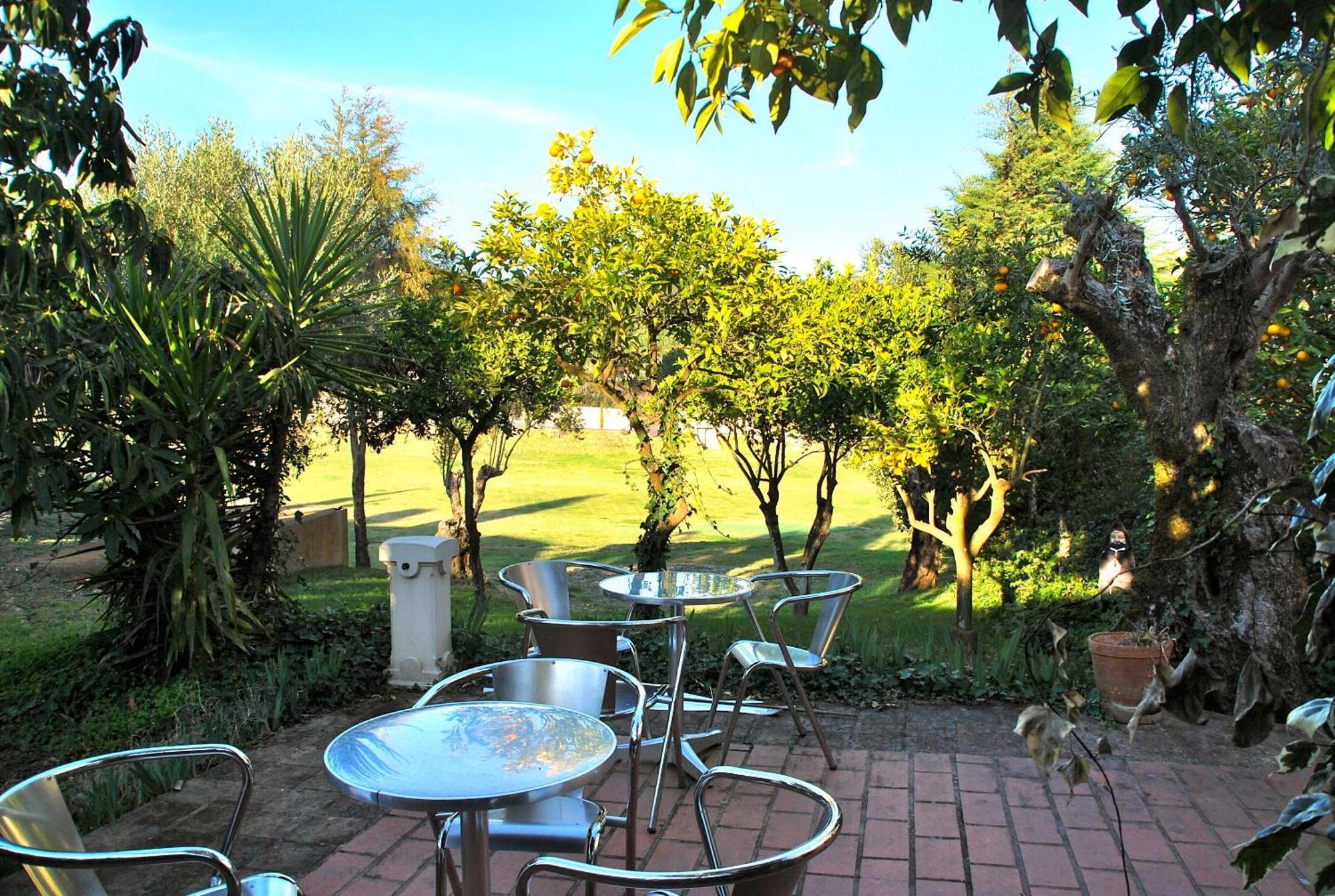 Hotel Quinta De Santa Barbara By Heavens Sleepy Constância Zewnętrze zdjęcie